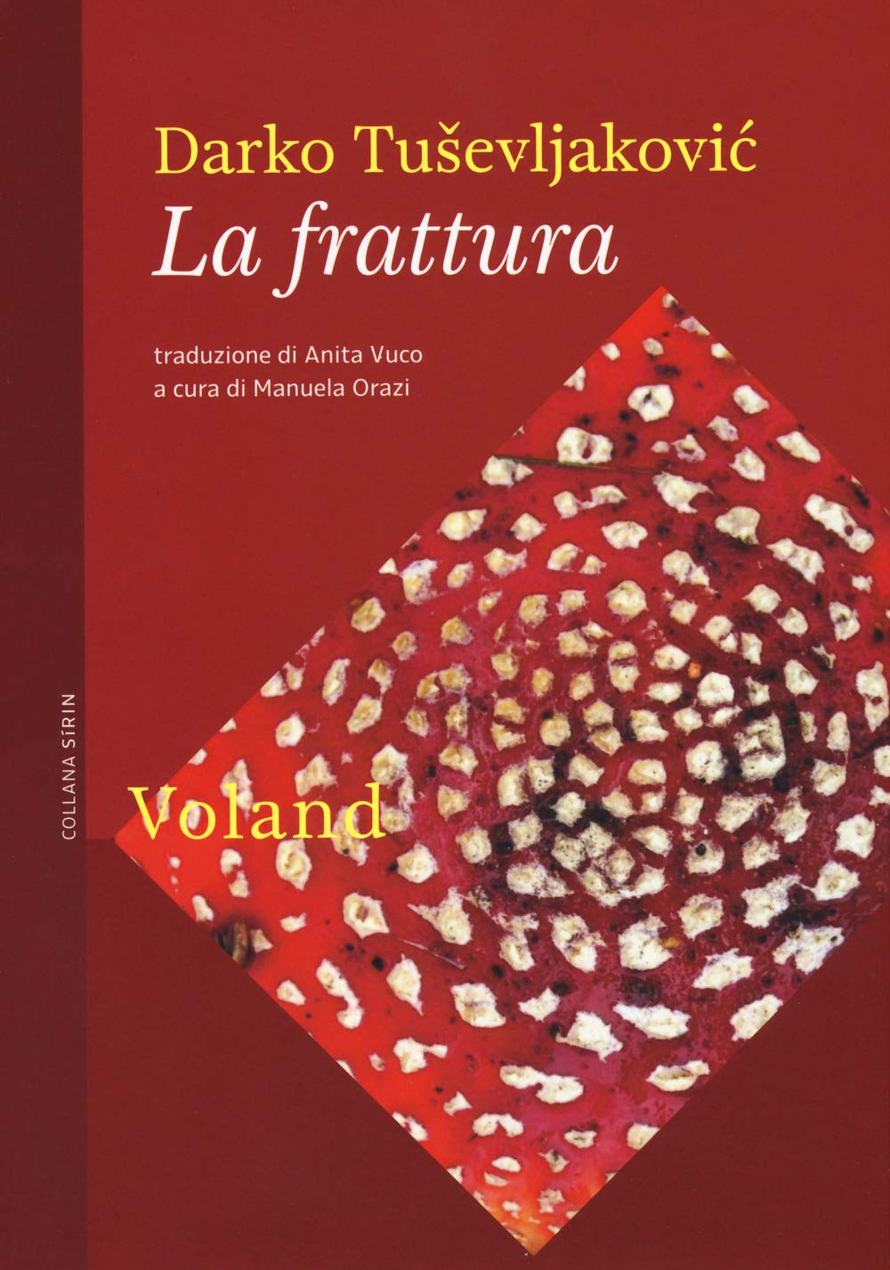 La frattura - Darko Tuševljaković - Libri Dicembre 2019